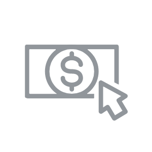 dollar icon