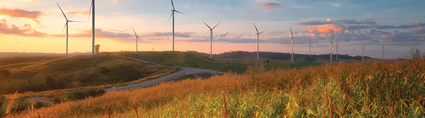 Environment Hero image - windmills