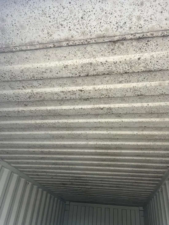 inside roof