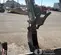 2021 Takeuchi TB290C Mini Excavator