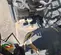 2019 JCB 512-56 Forklift